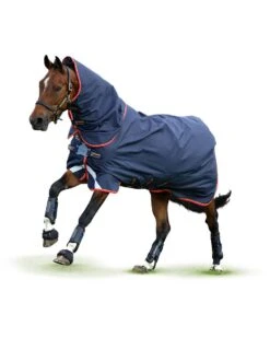 Horseware Ireland Amigo Bravo 12 Plus Turnout- 100g Lite W/ Disc Closure