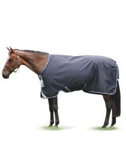 Horseware Ireland Amigo Bravo 12 Original Turnout- 250g Medium