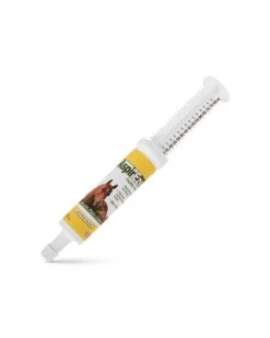 AspirEze Aspirin Gel For Horses