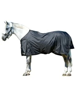 Back On Track Turnout Sheet