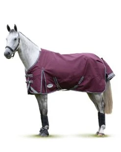 WeatherBeeta Comfitec Plus Dynamic II Standard Neck- 220g Medium