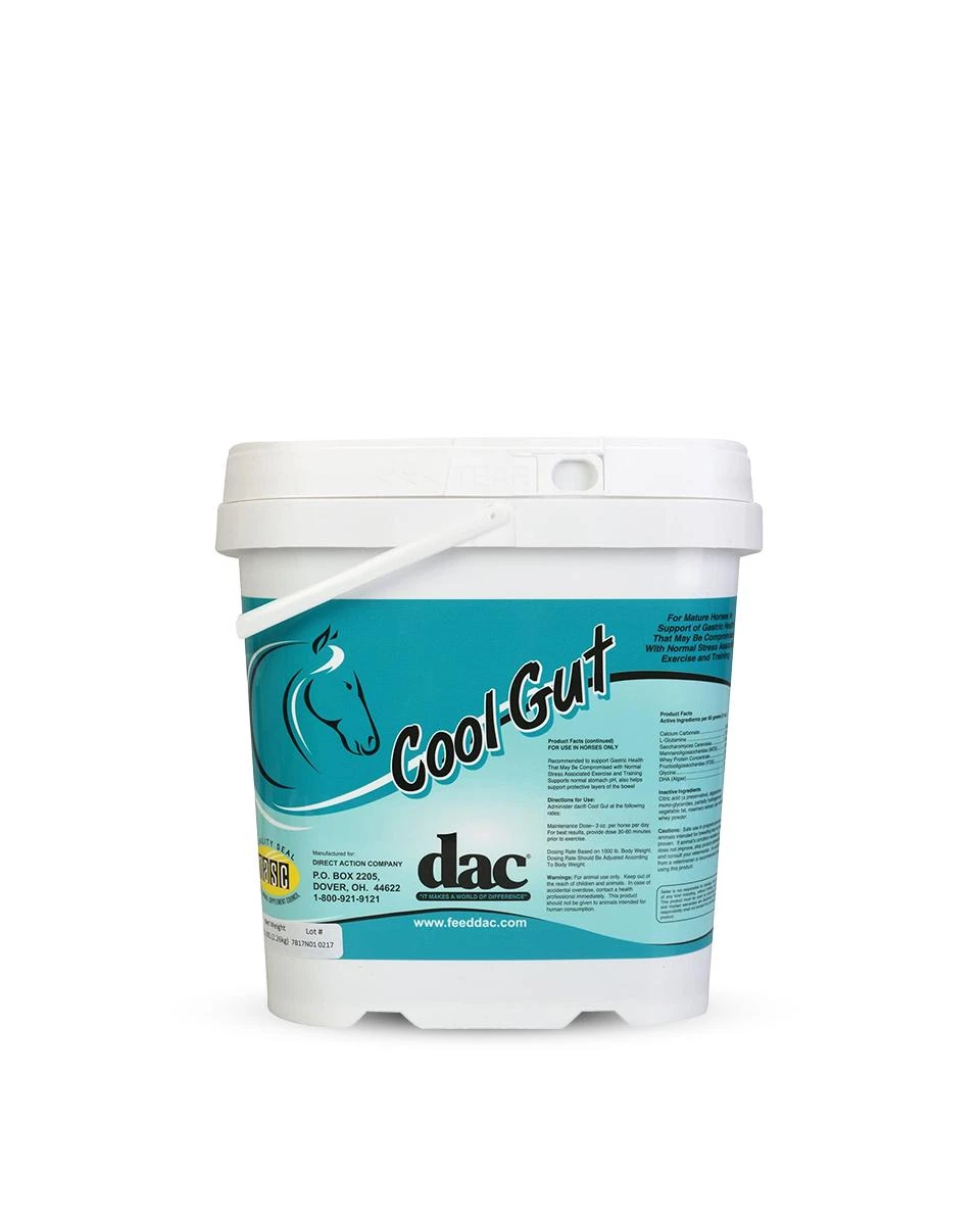 Dac Cool Gut - Image 2