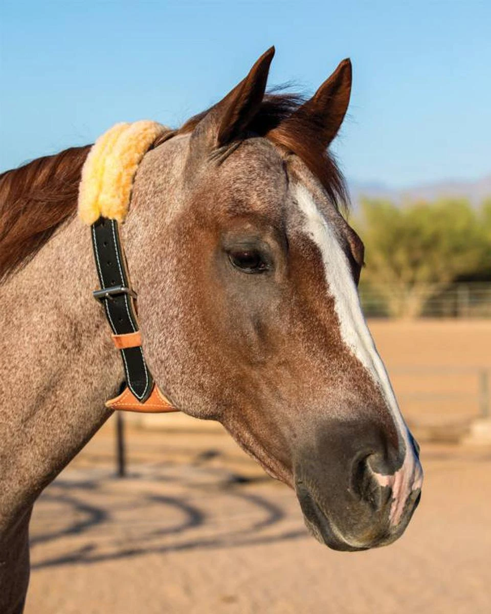 Professional's Choice Dare Cribbing Collar - Image 2