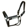 Walsh Dressage Halter
