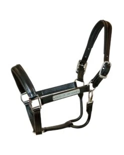 Walsh Dressage Halter