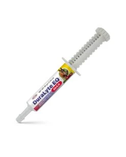 Durvet DuraLyte EQ Max Electrolyte And Probiotic Paste