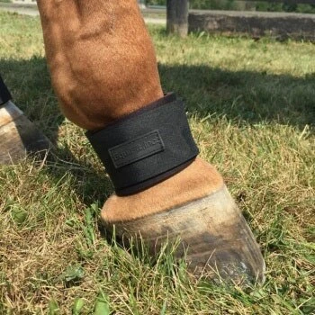 EquiFit Pastern Wrap- Regular - Image 2
