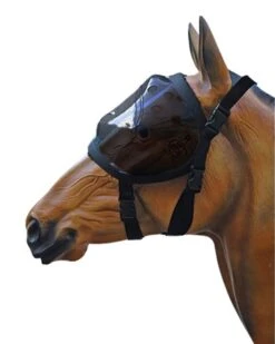 Equivizor Tinted Recovery Vizor