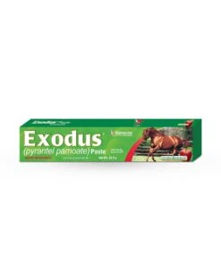 Bimeda Exodus Paste (Pyrantel Pamoate)