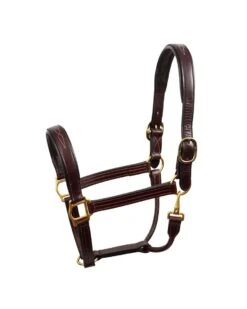Perri's Fancy Stitched Leather Halter