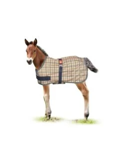 Baker Expand-O-Blanket Foal/Pony Turnout- 200g