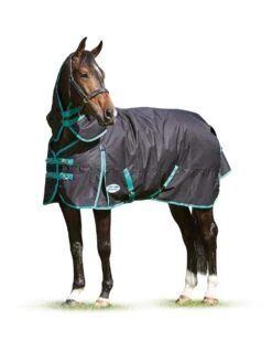 Weatherbeeta Green-Tec Detach-a-Neck- 220g Medium