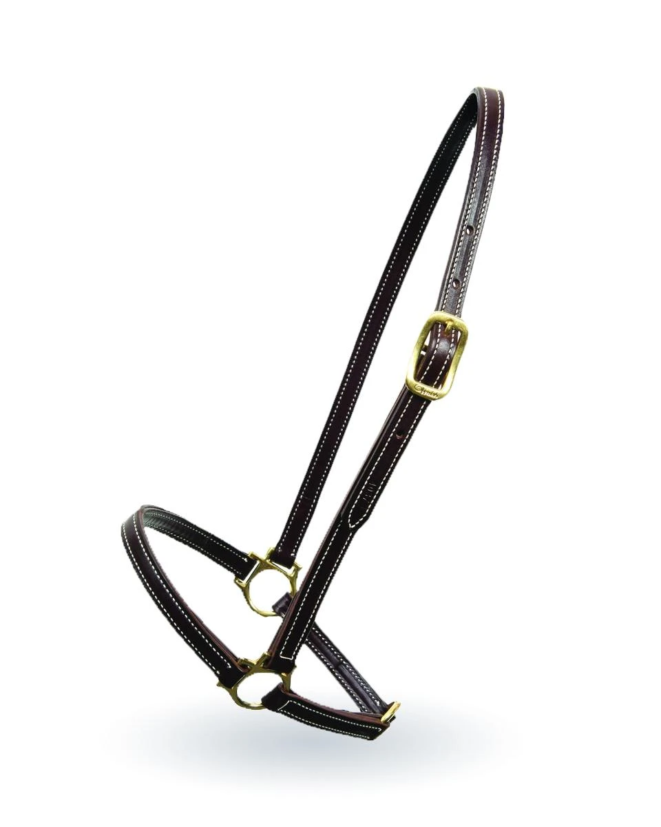 Walsh Grooming Halter