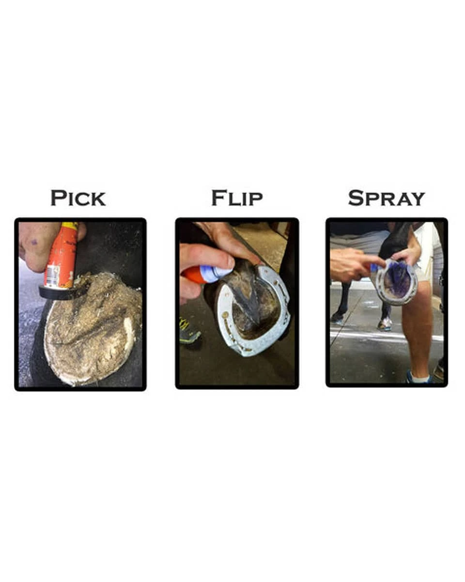 Groom's Hand Thrush Solution - Image 4