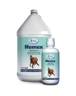 Omega Alpha Hemex