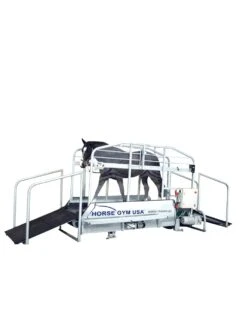 Horse Gym USA Treadmill