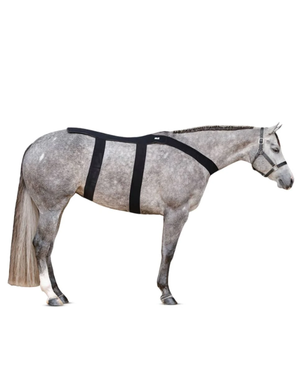 Ice Horse Back Blanket