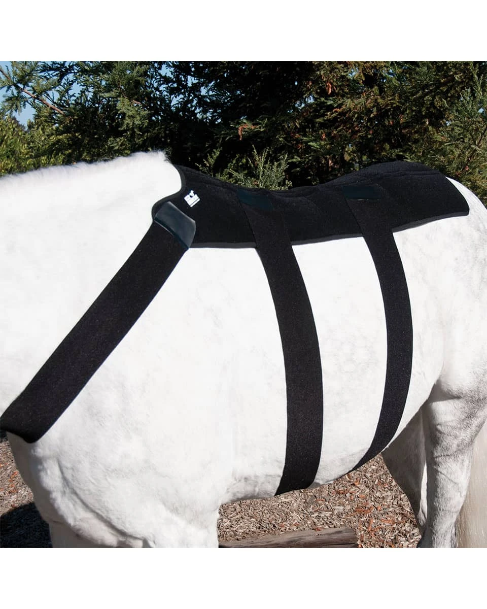 Ice Horse Back Blanket - Image 2