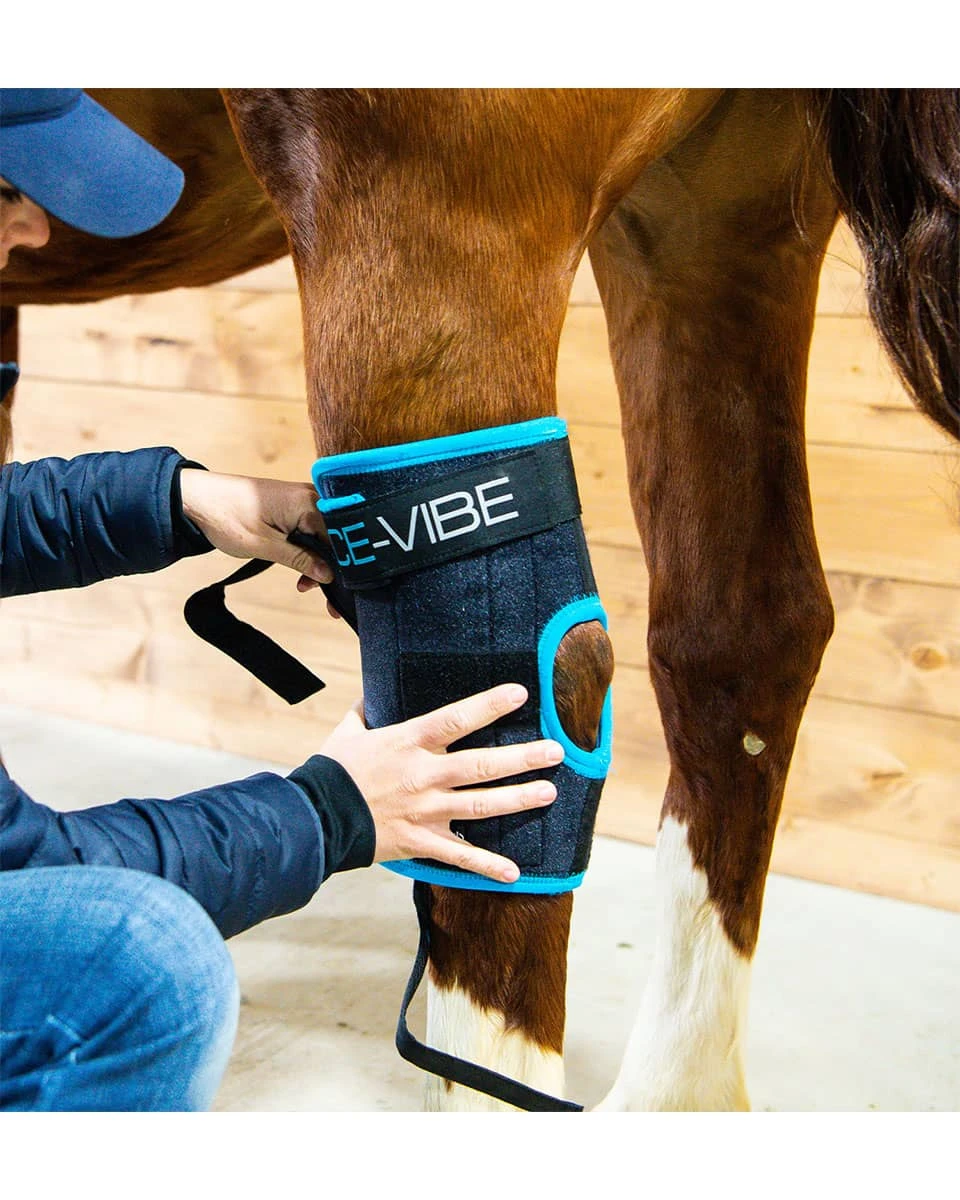 Horseware Ireland Horseware Ice-Vibe Hock Wraps - Image 2