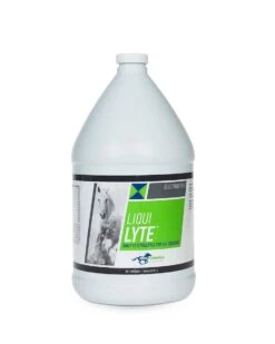 Pro Formula Labs Liqui Lyte Electrolyte