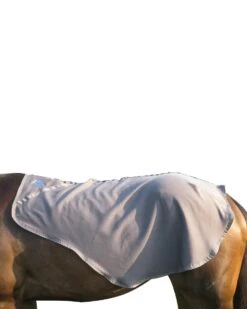 Liquid Titanium Quarter Sheet