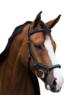 Horseware Ireland Micklem Deluxe Competition Bridle W/Reins