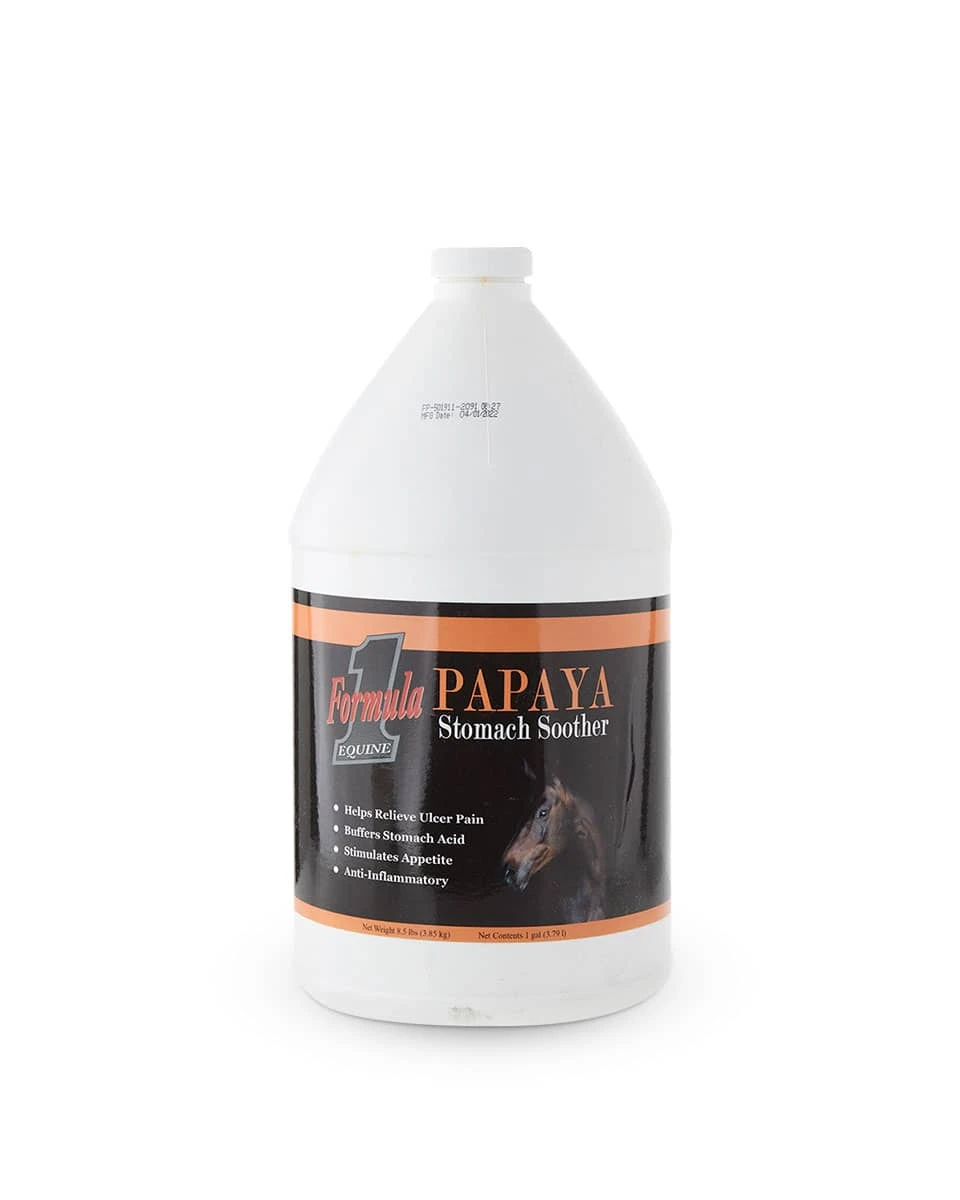 Formula 1 Noni Papaya Stomach Soother - Image 2