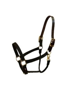 Nylon Breakaway Halter