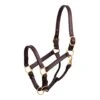 Perri's Leather Show Halter
