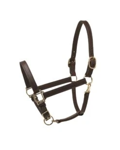 Perri's Leather Turnout Halter