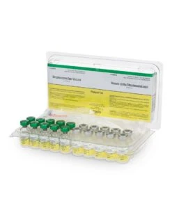 ZOETIS Vaccine - Pinnacle I.N. - 1 Dose