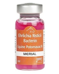 Boehringer Ingelheim Potomavac + Imrab - 10 Dose