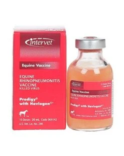 Vaccine - Prestige Prodigy