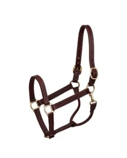 Perri's Leather Professional Show Halter