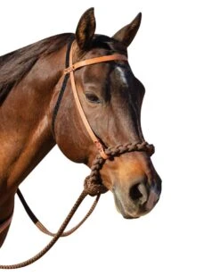 Professional's Choice Loping Hackamore