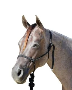 Professional's Choice Rope Halter With Lead