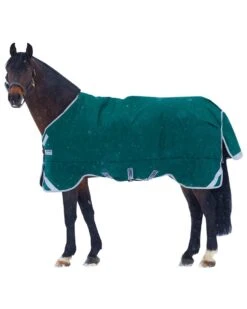 Horseware Ireland Rambo Original W/ Leg Arches- 400g Heavy- Green/silver