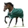 Horseware Ireland Rambo Original W/ Leg Arches- 0g Lite- Green/silver
