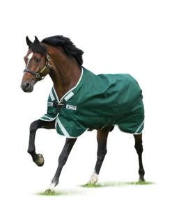 Horseware Ireland Rambo Original W/ Leg Arches- 0g Lite- Green/silver
