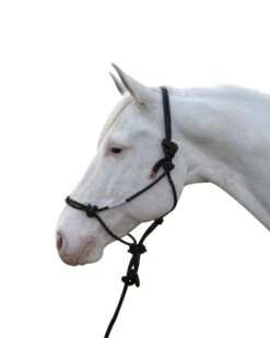 Hamilton Rope Halter With Lead