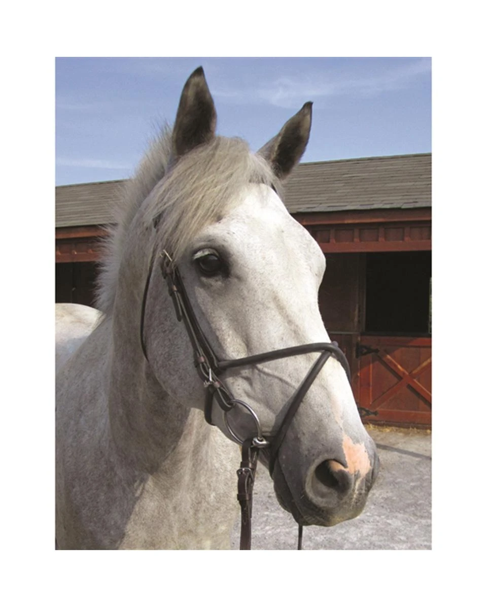 Nunn Finer Rubber Figure 8 - Image 2