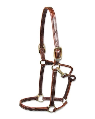 Showman Halter-Walsh