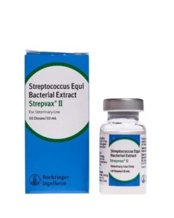 Boehringer Ingelheim Vaccine - StrepVax II