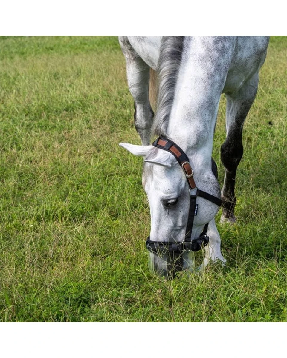ThinLine Flexible Filly Grazing Muzzle - Image 4