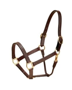 Tory Leather 1" Triple Stitched Track Halter