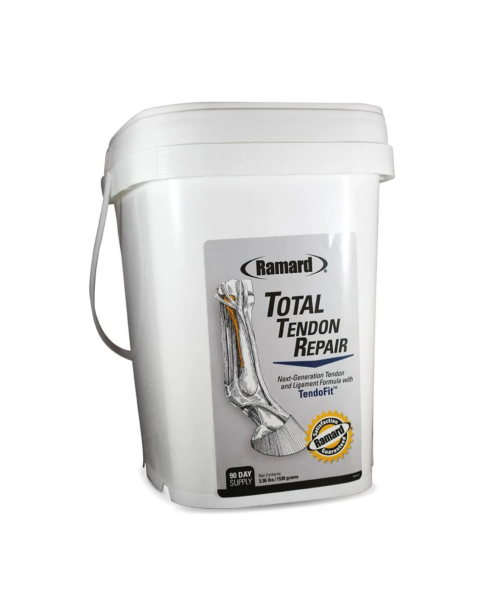 Total Tendon Repair - Image 2