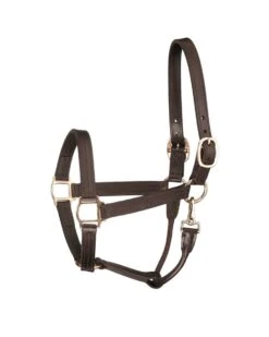 Perri's Leather Track Style Halter With Snap