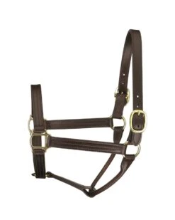 Perri's Leather Track Style Halter