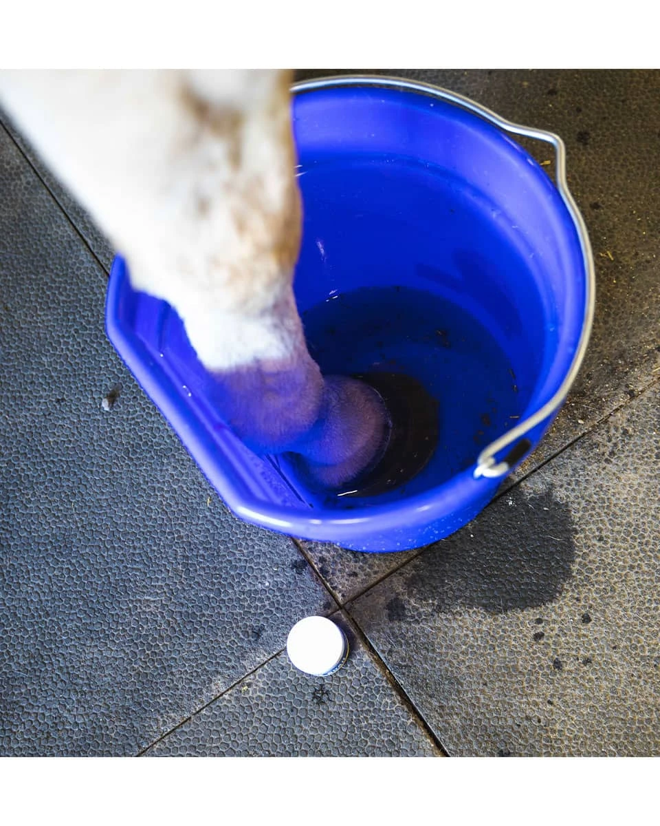 Vetericyn Hoof Soak - Image 5