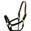 Walsh Nylon Breakaway Halter 3/4"